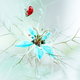 Illustration for article titled Wildlife photos that blur the line between reality and fantasy